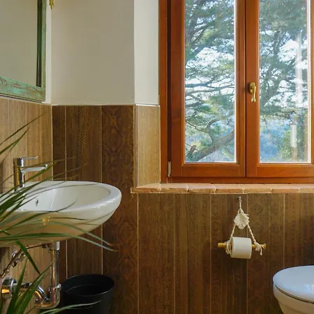 Seme Di Luna Canneto (Pisa)