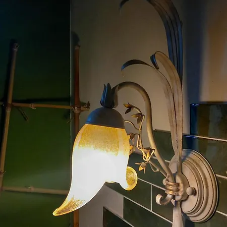 Seme Di Luna Canneto (Pisa)