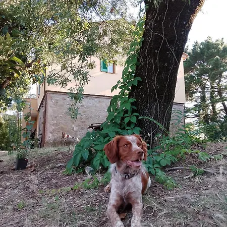 Seme Di Luna 3* Canneto (Pisa)