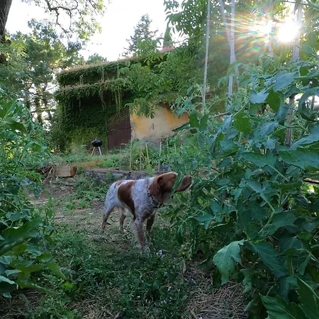 בית הארחה Seme Di Luna Canneto (Pisa)